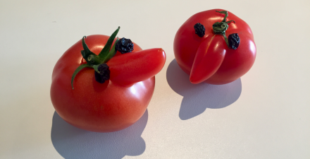 Videos Content Marketing