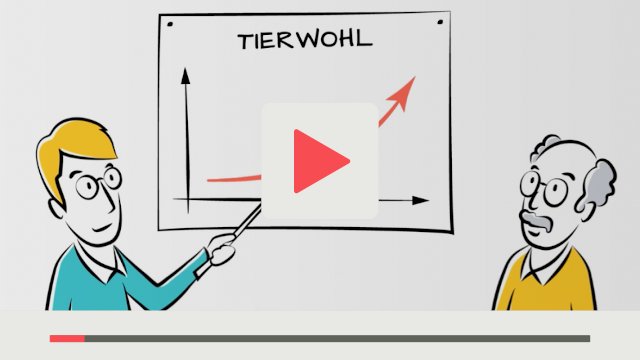 Erklärvideo Tierwohl - textzeichnerin