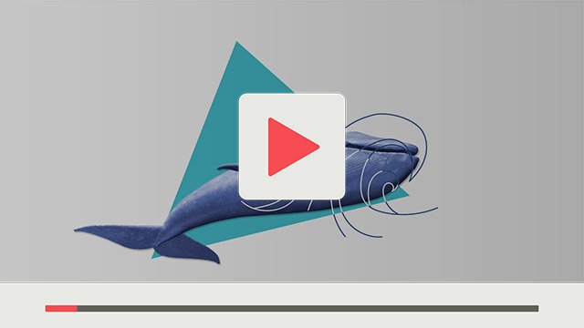 tangro Premium Video